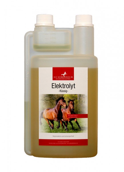 Elektrolyt 1.000 ml